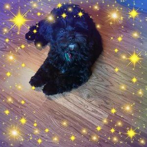 Meet your Posher, Barbara